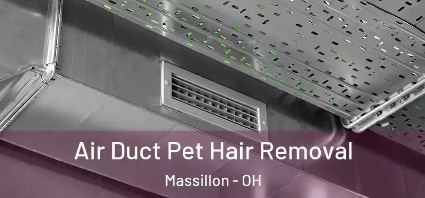  Air Duct Pet Hair Removal Massillon - OH