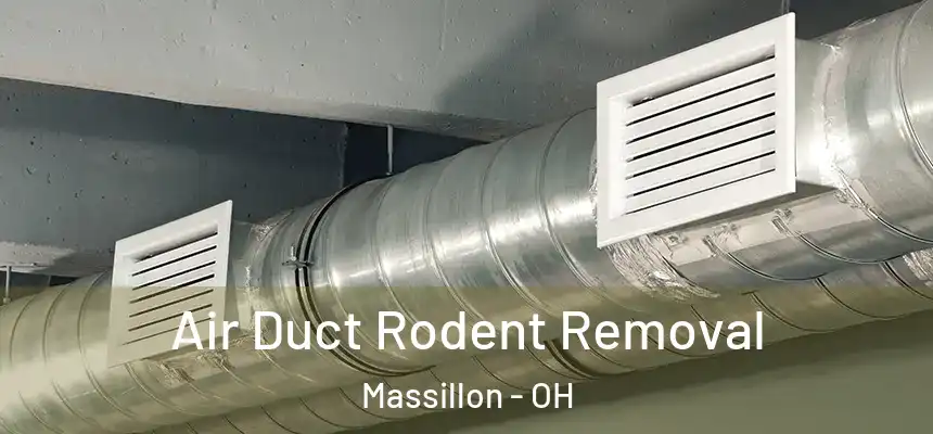  Air Duct Rodent Removal Massillon - OH