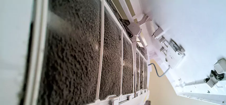 Preventive Air Duct Bacteria Removal in Massillon