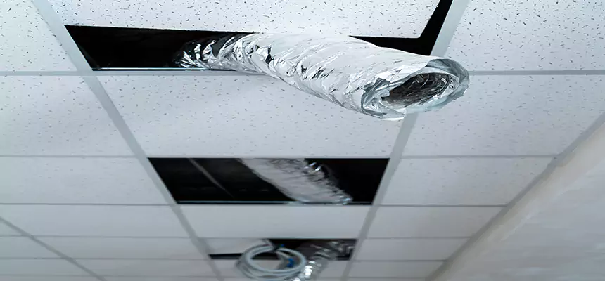 Affordable HVAC Sanitizing After Pest Removal in Massillon