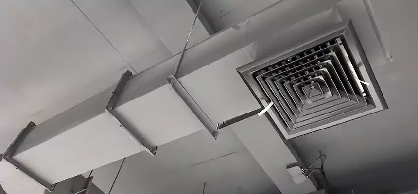 Our Pest Removal From Ducts Services in Massillon, OH