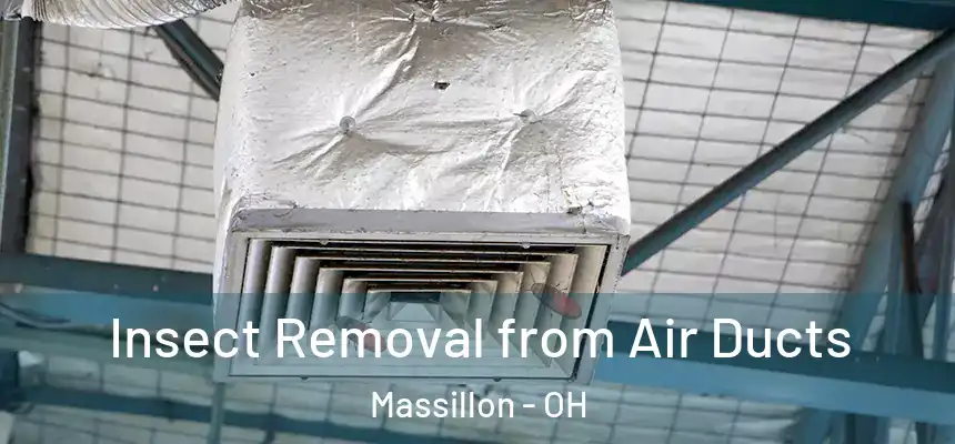  Insect Removal from Air Ducts Massillon - OH