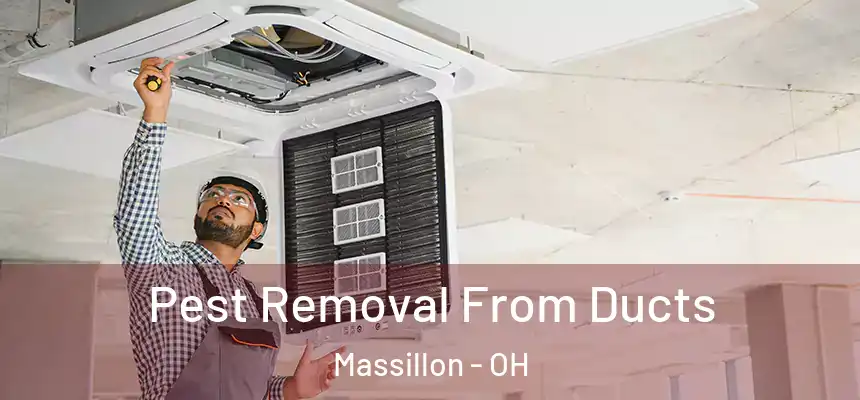 Pest Removal From Ducts Massillon - OH