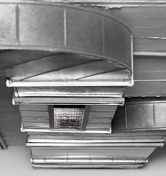 Professional Air Duct Pest Removal in Massillon, OH