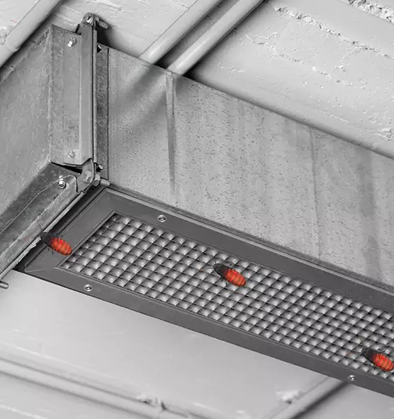 Affordable Insect Removal from Air Ducts in Massillon, OH