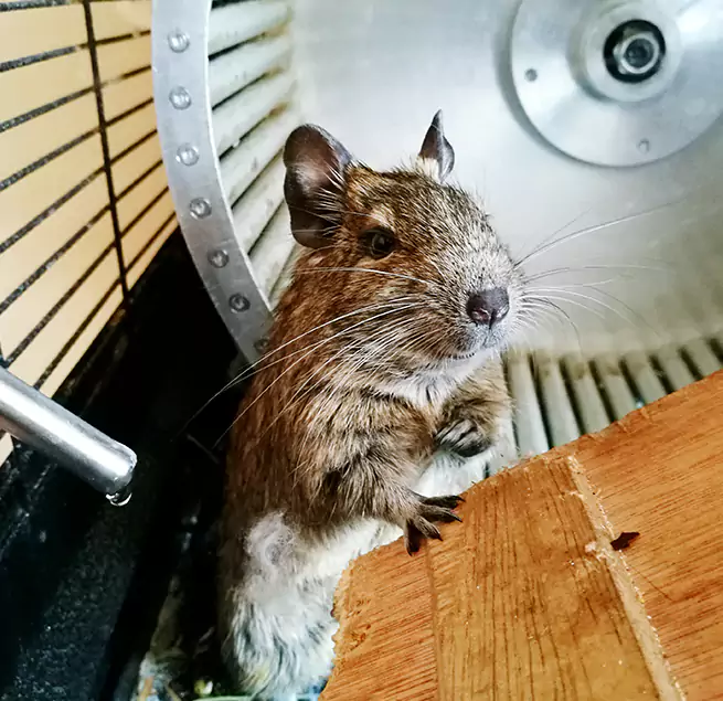 Why Homeowners & Businesses Trust Us Massillon, OH